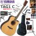 YAMAHA Yamaha TAG-1 C/NT trance акустическая гитара начинающий комплект губная гармоника . входить .. сильнейший 19 позиций комплект 