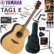 YAMAHA Yamaha TAG-1 E/NT trance акустическая гитара начинающий комплект губная гармоника . входить .. сильнейший 19 позиций комплект 