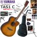 YAMAHA Yamaha TAS-1 C/SDB trance акустическая гитара начинающий комплект губная гармоника . входить .. сильнейший 19 позиций комплект 