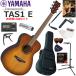YAMAHA Yamaha TAS-1 E/SDB trance акустическая гитара начинающий комплект легкий 13 позиций комплект 