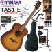 YAMAHA Yamaha TAS-1 E/SDB trance акустическая гитара начинающий комплект губная гармоника . входить .. сильнейший 19 позиций комплект 
