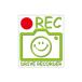 ( прозрачный ) Smile регистратор пути (drive recorder) 9cm leaf зеленый лицо линия модель .. движение предотвращение транспорт безопасность do RaRe ko стикер 