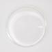 Speedo glas for Lambretta Series 2 LI TV Speedo Lens Lambretta спидометр линзы 