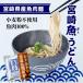 ポイント消化 送料無料 お魚のうどん 宮崎魚うどん 220ｇ×3 宮崎県産魚肉麺 だし付き