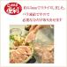 �����������؂藎�Ƃ��X���C�X�i���Ȃ��j500���i�`�F���o���[��j���Ⓚ�o�������ł� �֘A�摜3