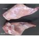 (... мясо ) Lapin на косточке .. примерно 450g( 1 шт. 170g~250g.2 шт. входит .(1 перо минут ))/kyu стул do Lapin кролик 