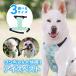  собака для охлаждающий жилет .... лучший прохладный одежда ICE VEST for dog PCM материалы охлаждающий лучший охлаждающий . средний . меры тепловая защита лето. . прогулка собака Ran кемпинг собака одежда S M L