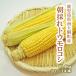  кукуруза сырой тоже еда .... кукуруза Кагосима префектура 4kg 10~14шт.@ Gold Rush утро .. свежий сельское хозяйство дом прямая поставка .. овощи салат BBQ