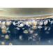 �~�W���R ��1500�C(0.5g�`) �n�C�O���[�h �N������������ �y�^�}�~�W���R�z �֘A�摜2
