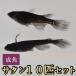 me Dakar /sa язык / orochi филе длина swallow оризия 10 шт комплект 