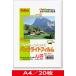  цветной лазерный / цвет копировальный аппарат для подсветка плёнка тонкий (0.090mm) A4/20 листов входит (FPBL-20A4LT)