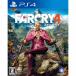 �����¨Ǽ��{PS4} �ե������饤4(FAR CRY 4) �桼�ӡ��������ե� (20150129)