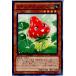 �����¨Ǽ��{�ץ쥤��}{TCG} ͷ���� DTC3-JP021N �ʥ���롦���ȥ��٥꡼
