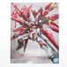 [ б/у немедленная уплата ]{PTM} Tmall ограничение MG 1/100 ZGMF-X20A Strike freedom Gundam .. Mai .Ver. Mobile Suit Gundam SEED DESTINY пластиковая модель BSP(20210724)