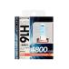  arcs (axs) GRX-74 H16 галоген клапан(лампа) 4800K super белый наложенный платеж не возможно / включение в покупку не возможно 