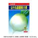  Kobayashi вид рассада дайкон семена. . круг ... дайкон 45 маленький пакет (6ml) наложенный платеж не возможно / включение в покупку не возможно 