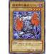 š ͷOCG ǥ奨󥹥 Źʼ TAEV TAEV-JP003