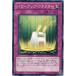 ����š� ͷ����OCG �ǥ奨���󥹥����� �ѥ���åס����ͥ����� EXVC EXVC-JP064