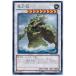 ����š� ͷ����OCG �ǥ奨���󥹥����� ����� SHSP SHSP-JP058 R