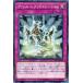 ����š� ͷ����OCG �ǥ奨���󥹥����� ������롦��եꥸ���졼����� EXFO EXFO-JP068