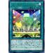 š ͷOCG ǥ奨󥹥 ȥå饤ȥ꡼ FLOD FLOD-JP054 R