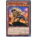 ����š� ͷ����OCG �ǥ奨���󥹥����� ɴ�äΥѥ�ǥ����� CYHO CYHO-JP008