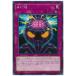 š ͷOCG ǥ奨󥹥 Ai-Q ETCO ETCO-JP073
