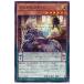 š ͷOCG ǥ奨󥹥 󥫥ե饤 LIOV LIOV-JP026