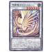š ͷOCG ǥ奨󥹥 Żε DAMA DAMA-JP042