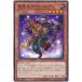 š ͷOCG ǥ奨󥹥 ǥ BACH BACH-JP012