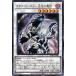 š ͷOCG ǥ奨󥹥 ӡ-٤- PHHY PHHY-JP040 R
