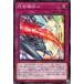 š ͷOCG ǥ奨󥹥 տ CYAC CYAC-JP072