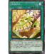 š ͷOCG ǥ奨󥹥 򰵤 PHNI PHNI-JP072 NR