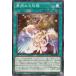 š ͷOCG ǥ奨󥹥 ʤʡ LEDE LEDE-JP062