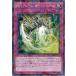 š ͷOCG ǥ奨󥹥 PSYե졼ࡦС SPHR SPHR-JP037 NP