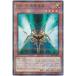 ����š� ͷ����OCG �ǥ奨���󥹥����� ZW-ŷ�������� AC01 AC01-JP025 NP