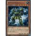 š ͷOCG ǥ奨󥹥 ɥɥɥХ DP14 DP14-JP008
