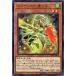 š ͷOCG ǥ奨󥹥 ͥեƥθ DBHS DBHS-JP004