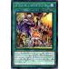 š ͷOCG ǥ奨󥹥 ץ󥭥åץ DBHS DBHS-JP024