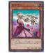 š ͷOCG ǥ奨󥹥  DBSS DBSS-JP039