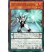 š ͷOCG ǥ奨󥹥 ꥢB-Х DBTM DBTM-JP005