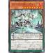 ����š� ͷ����OCG �ǥ奨���󥹥����� �����ꥢ���D-�ǥ塼�� DBTM DBTM-JP008