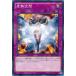š ͷOCG ǥ奨󥹥 ̵ 20AP 20AP-JP081 NP