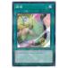 ����š� ͷ����OCG �ǥ奨���󥹥����� ĴΧ PAC1 PAC1-JP040 NP