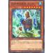 ����š� ͷ����OCG �ǥ奨���󥹥����� ɹ�볦�θ׾� ���󥿡��� TW01 TW01-JP027 NP