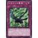 ����š� ͷ����OCG �ǥ奨���󥹥����� ����������˽�� SD19 SD19-JP030
