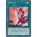 š ͷOCG ǥ奨󥹥  SD43 SD43-JP023