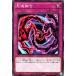 š ͷOCG ǥ奨󥹥 າͻ SD43 SD43-JP035