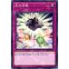 š ͷOCG ǥ奨󥹥 ξ SR05 SR05-JP033
