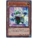 ����š� ͷ����OCG �ǥ奨���󥹥����� ������������ DS14 DS14-JPM01 UR